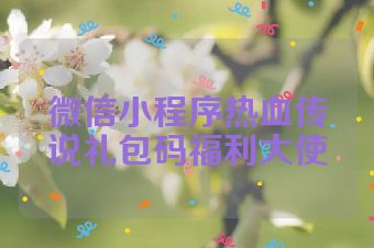 微信小程序热血传说礼包码福利大使