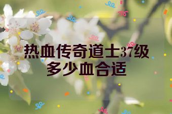 热血传奇道士37级多少血合适