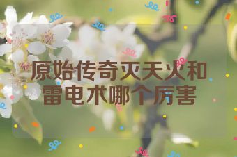 原始传奇灭天火和雷电术哪个厉害