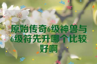 原始传奇6级神兽与6级符先升哪个比较好啊