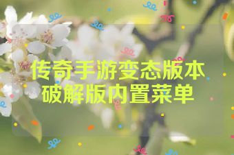 传奇手游变态版本破解版内置菜单