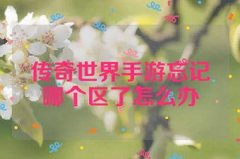 传奇世界手游忘记哪个区了怎么办