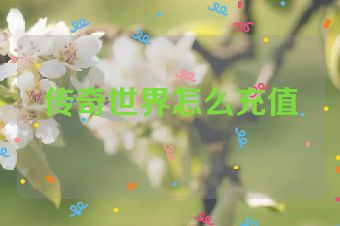 传奇世界怎么充值