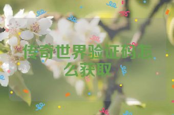 传奇世界验证码怎么获取