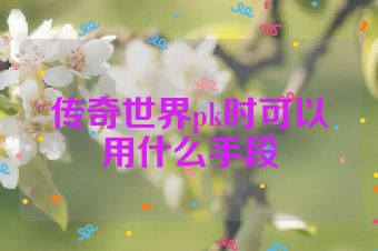 传奇世界pk时可以用什么手段