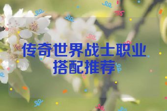 传奇世界战士职业搭配推荐