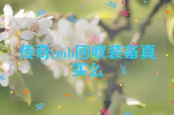 传奇rmb回收装备真实么