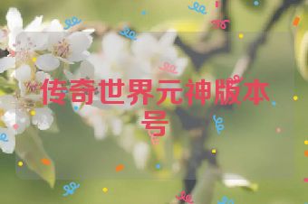 传奇世界元神版本号