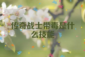 传奇战士带毒是什么技能
