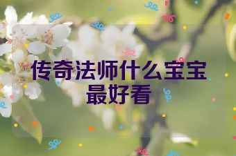 传奇法师什么宝宝最好看