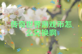 传奇世界游戏币怎么兑换啊