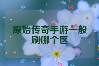 原始传奇手游一般刷哪个区