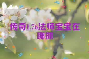 传奇1.76法师宝宝在哪抓