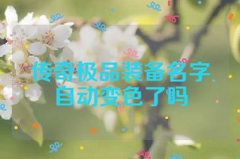 传奇极品装备名字自动变色了吗