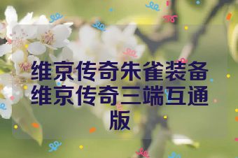 维京传奇朱雀装备维京传奇三端互通版