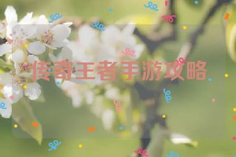 传奇王者手游攻略