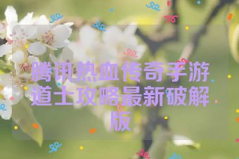 腾讯热血传奇手游道士攻略最新破解版