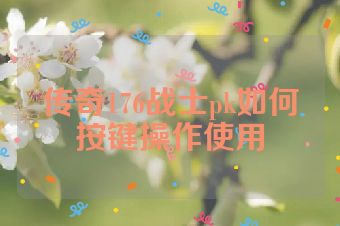 传奇176战士pk如何按键操作使用