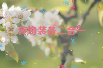 传奇装备二合一