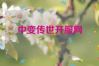 中变传世开服网