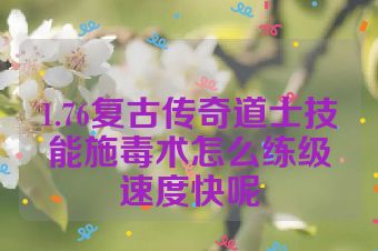 1.76复古传奇道士技能施毒术怎么练级速度快呢