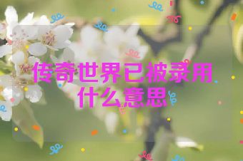 传奇世界已被录用什么意思