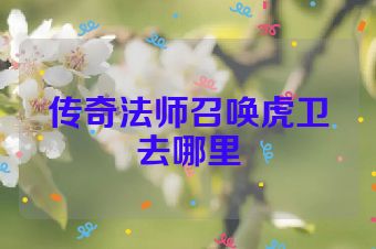 传奇法师召唤虎卫去哪里