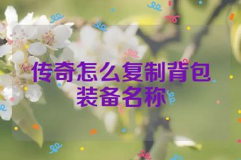 传奇怎么复制背包装备名称