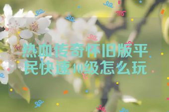 热血传奇怀旧版平民快速40级怎么玩