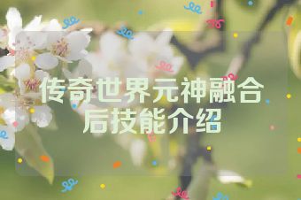 传奇世界元神融合后技能介绍