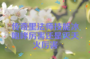 传奇里法师技能冰咆哮厉害还是灭天火厉害