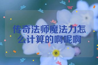 传奇法师魔法力怎么计算的啊呢啊