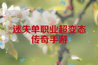 迷失单职业超变态传奇手游
