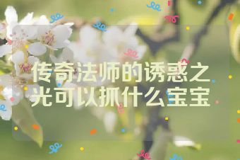 传奇法师的诱惑之光可以抓什么宝宝
