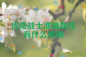 传奇战士准确属性有什么用啊