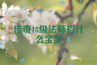 传奇18级法师招什么宝宝