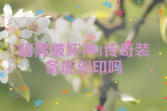 暗黑破坏神4传奇装备能刻印吗
