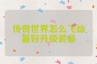 传奇世界怎么飞仙最好升级装备