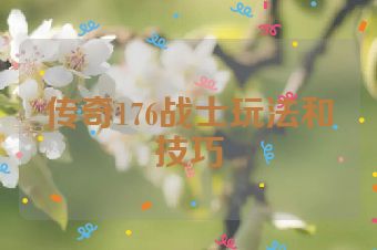 传奇176战士玩法和技巧