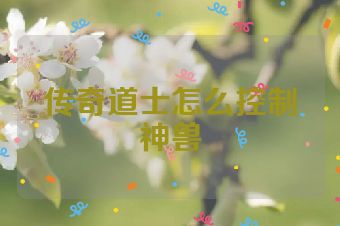 传奇道士怎么控制神兽