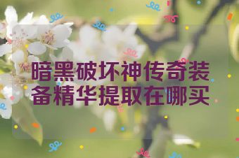 暗黑破坏神传奇装备精华提取在哪买