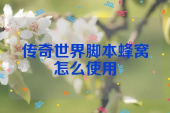 传奇世界脚本蜂窝怎么使用