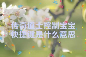 传奇道士控制宝宝快捷键是什么意思