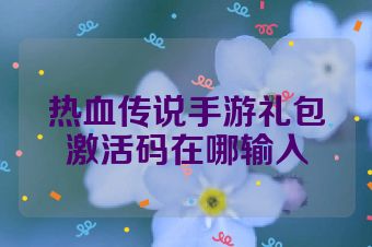 热血传说手游礼包激活码在哪输入