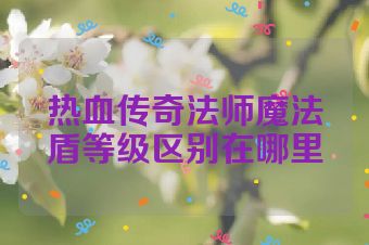 热血传奇法师魔法盾等级区别在哪里