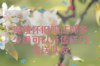 魔兽怀旧服法师多少级可以开传送门传送队友