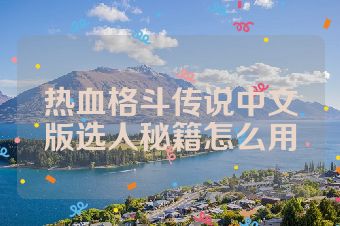 热血格斗传说中文版选人秘籍怎么用