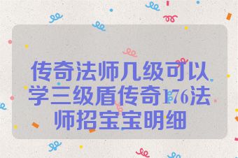 传奇法师几级可以学三级盾传奇176法师招宝宝明细