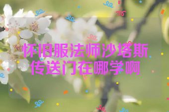 怀旧服法师沙塔斯传送门在哪学啊
