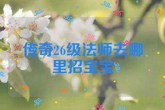传奇26级法师去哪里招宝宝